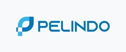 PT Pelindo